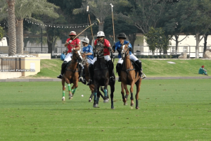 UAE Polo Federation Cup: AM Polo is the first finalist